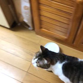 今日のジム活8時間労働…想定外のレスミルズ　ボディ⭕️⭕️を4連続！の画像