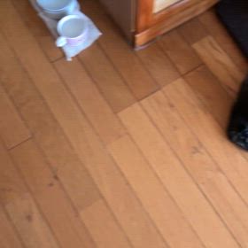 母かいても生活は変えられず。チャンス到来！10時間ジム活終了。の画像