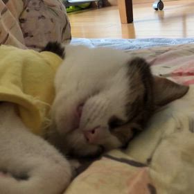 お風呂だけ入って帰るつもりでジムへいったが何時まで夕食食べればいいんだっけ？の画像