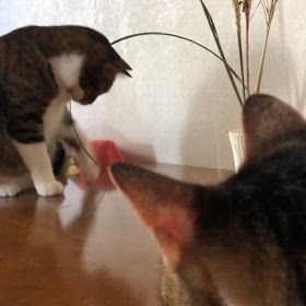 空を眺め…自分の時間を満喫して1日を締めくくる。の画像