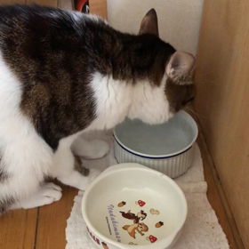 自分の心は自分で解決しないとはいがれない。デールぬるま湯。の画像