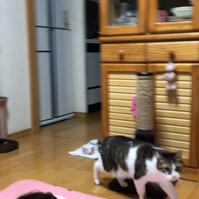 母はもう忘れてる… 介護について語る。の画像