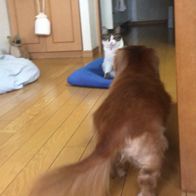 チップとデールの8日朝。の画像