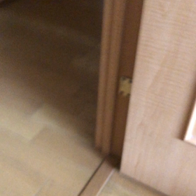 変な夢で気分が悪い、おはようチップ君。の画像