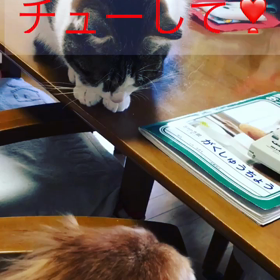 私の今年と来年、心配な娘…今年で最後にしたい。今年締めの字幕付きチップとデール動画の画像
