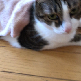 ちょっとずつズレてる日。冷たいデール！の画像