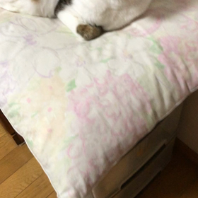 多頭飼育崩壊のニュースが気になる。歯磨きしたらデールシュパシュパ！の画像