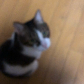 いつもと違う1週間で…疲れました。デールは？の画像