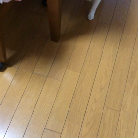 ジ ムで松潤コンバットデビュー！デール夕食…の画像