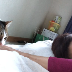 今朝はセレブ！起こされ、洗顔終了までデールにしてもらいました。の画像