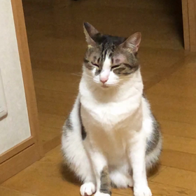 ジムで脂肪率と筋肉量測ったら…居眠りデール。の画像