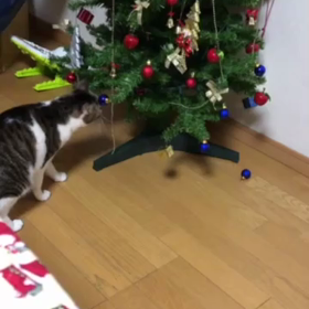 のんびりしていたら…駅待ち合わせ！。ふるさと納税はどうする？の画像