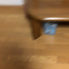 久しぶり訪問者は高熱で…デールは良かったって。の画像