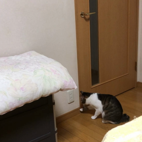 娘との喧嘩以来…今日のデールは。の画像