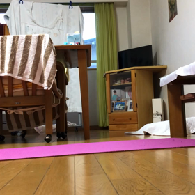 娘の無痛生甲状腺炎…窒息死が心配。かわいい保護猫デールの待ってました〜動画の画像