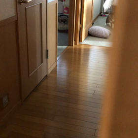 保護犬家族に迎えたいけど…保険や入用にお金がかかるのは仕方ない。の画像