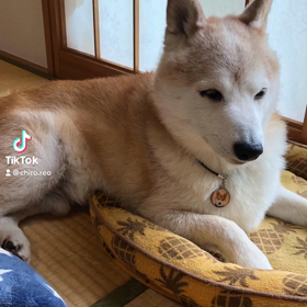 2022/06/25の画像