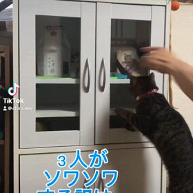レオの 誕生日の画像