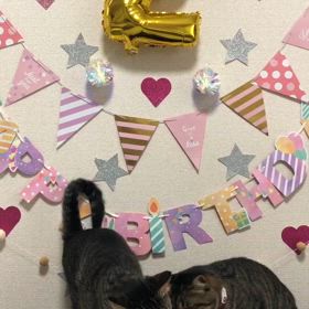 みかんれもん誕生日の画像