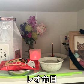 チロの誕生日の次の日は､､､の画像