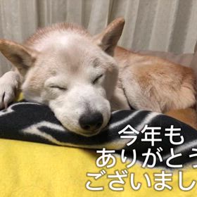 今年もありがとうございましたの画像