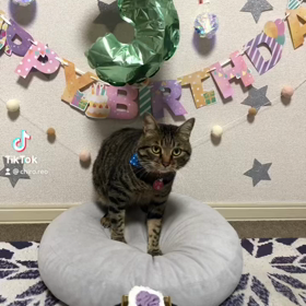 レオの誕生日ケーキの画像