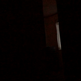 レオの鳴き声（動画がアップ出来ました）の画像