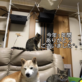 １年ありがとうございましたの画像