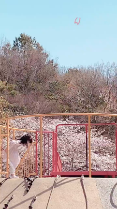新年度ですね♡の記事動画