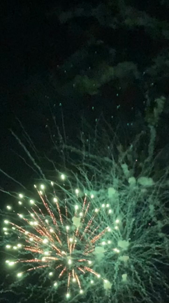 サプライズに見れた花火大会！の記事動画