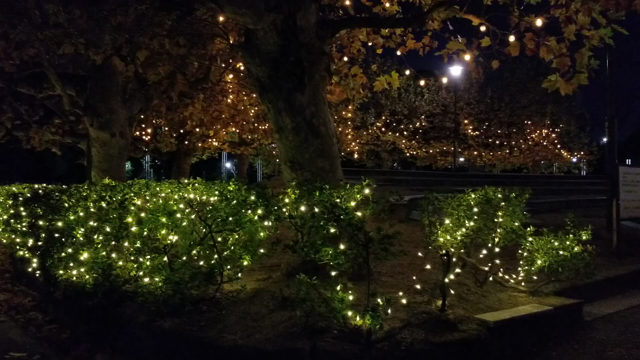 鶴舞公園の紅葉とWinter Illuminationの記事動画