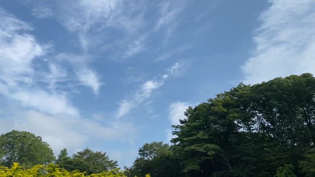 2024.8/8今年の夏休みの記事動画