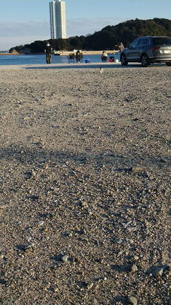 師崎　花ひろばの記事動画
