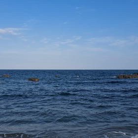 午後から石鯛釣り♪の画像