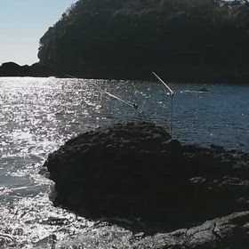 石鯛釣りの画像