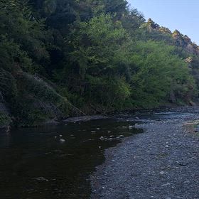 川の流れる音に癒されての画像