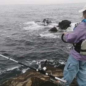 石鯛釣りは根掛かり日常茶飯事の画像