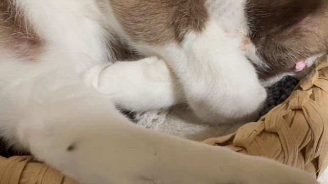 好発進も喜べない事情。の記事動画
