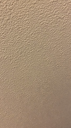 歌姫ののかちゃんの凄さの記事動画