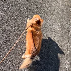 再び…の画像