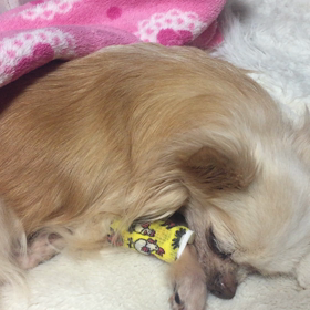 まだ生きてるの画像