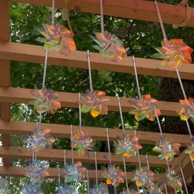 今日から。の画像