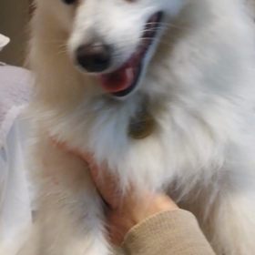 2018/12/01の画像