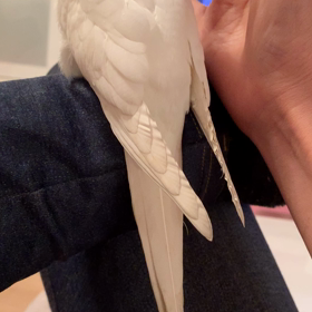 最近の体調^ ^の画像