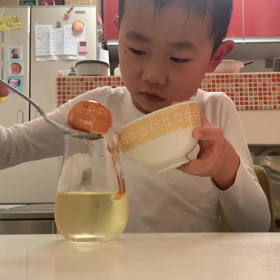 卵の実験の画像