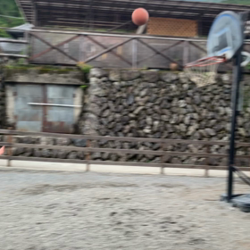 ぶーちゃんのまぐれの画像