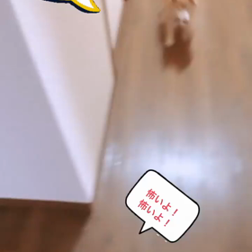 犬dayの画像