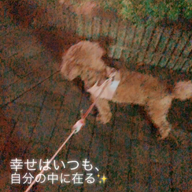 happiness❤️の画像