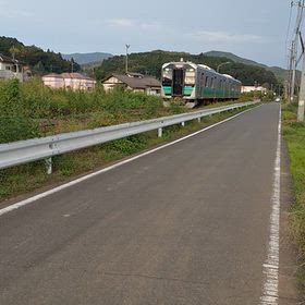 おはようございます～雨、雪でも散歩は続けます。追記～の画像
