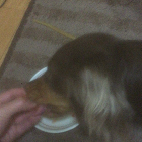 夕食後にの画像